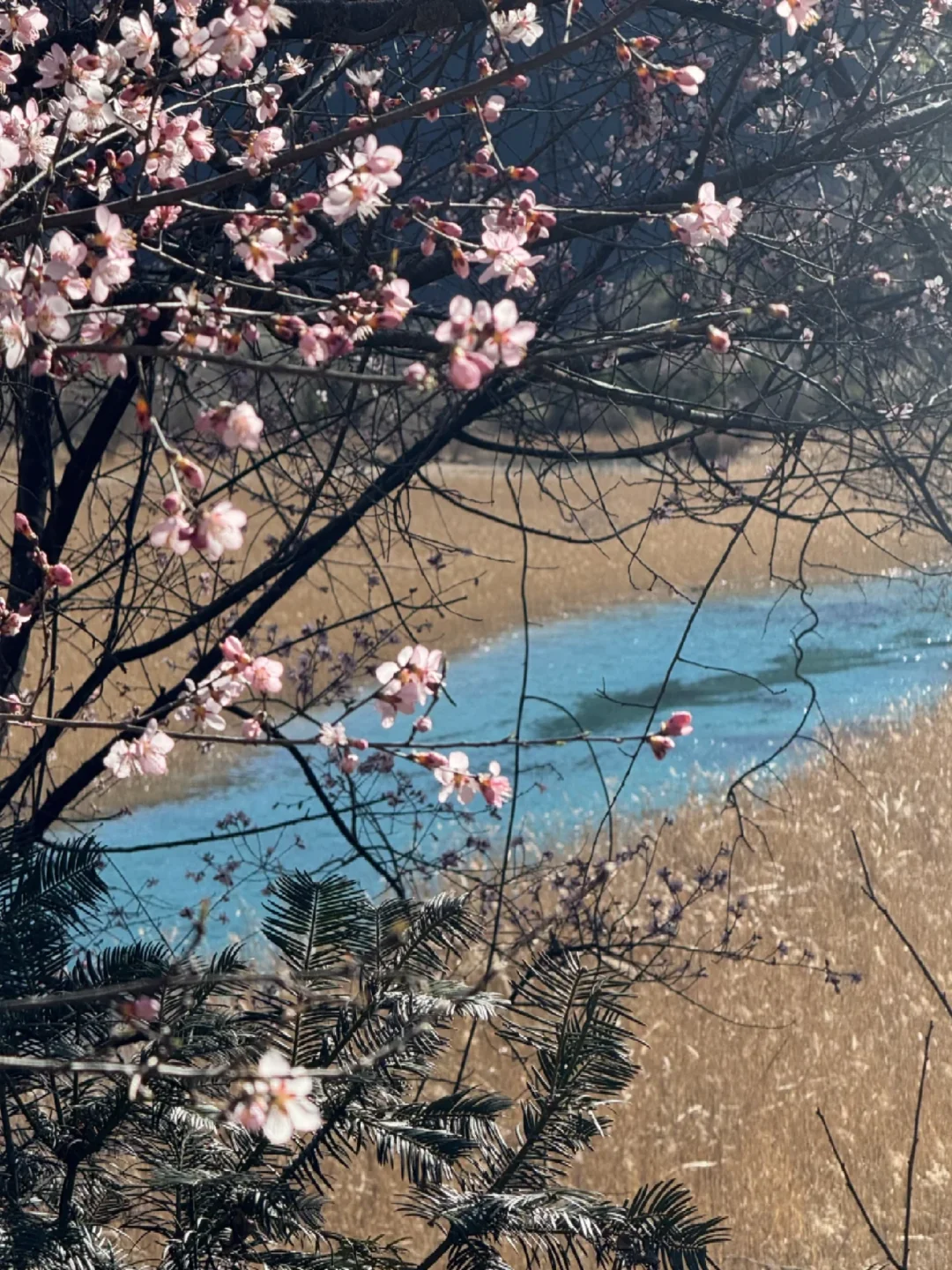 3.28📍淡季九寨沟已回，附游玩时间线