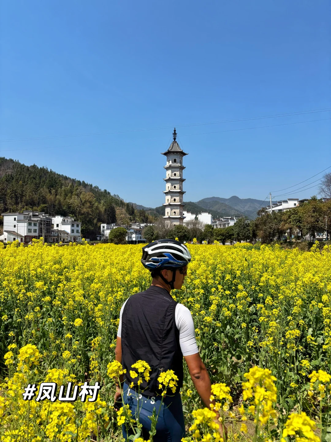 一日看尽婺源花:油菜花海骑游全攻略
