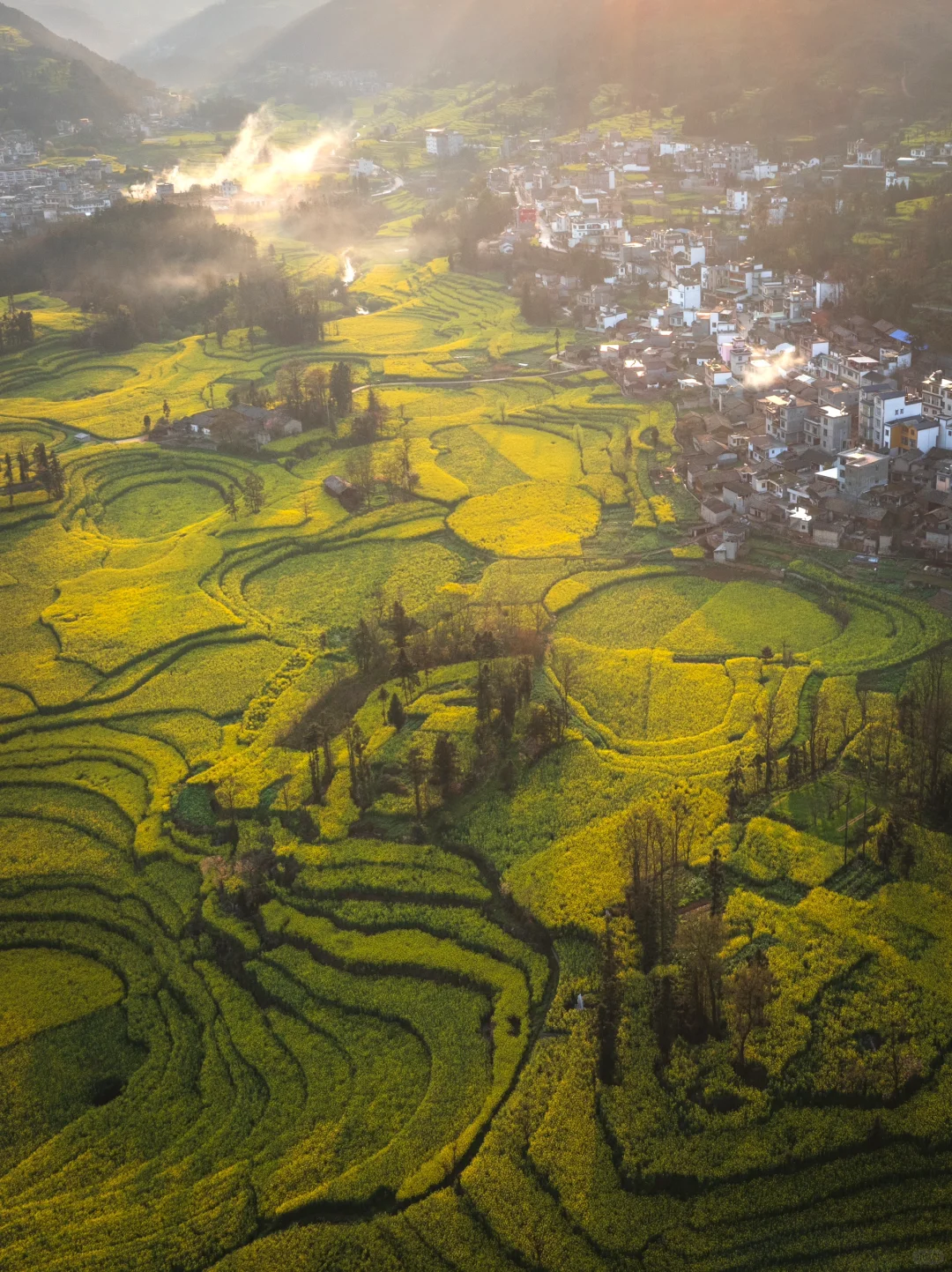 🌼云南罗平的三月，如同闯入画中