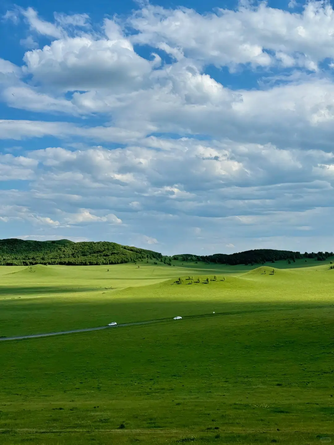 在乌兰布统的夏天，像是做了一场自由的梦～💙