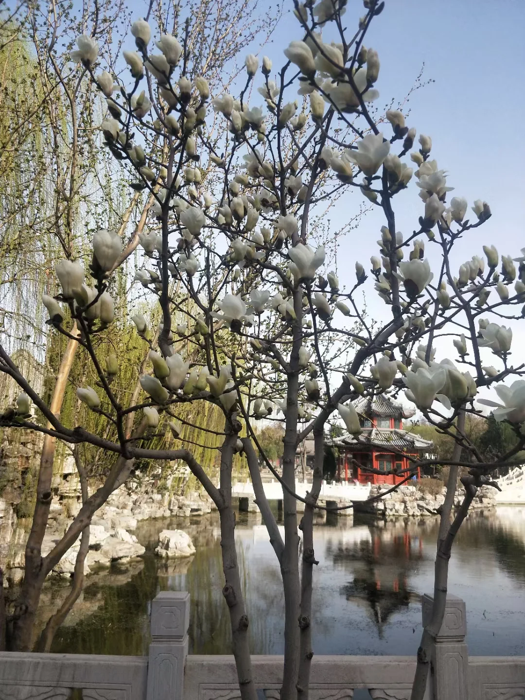 🌿清明假期河北周边游攻略 | 踏青赏花+文