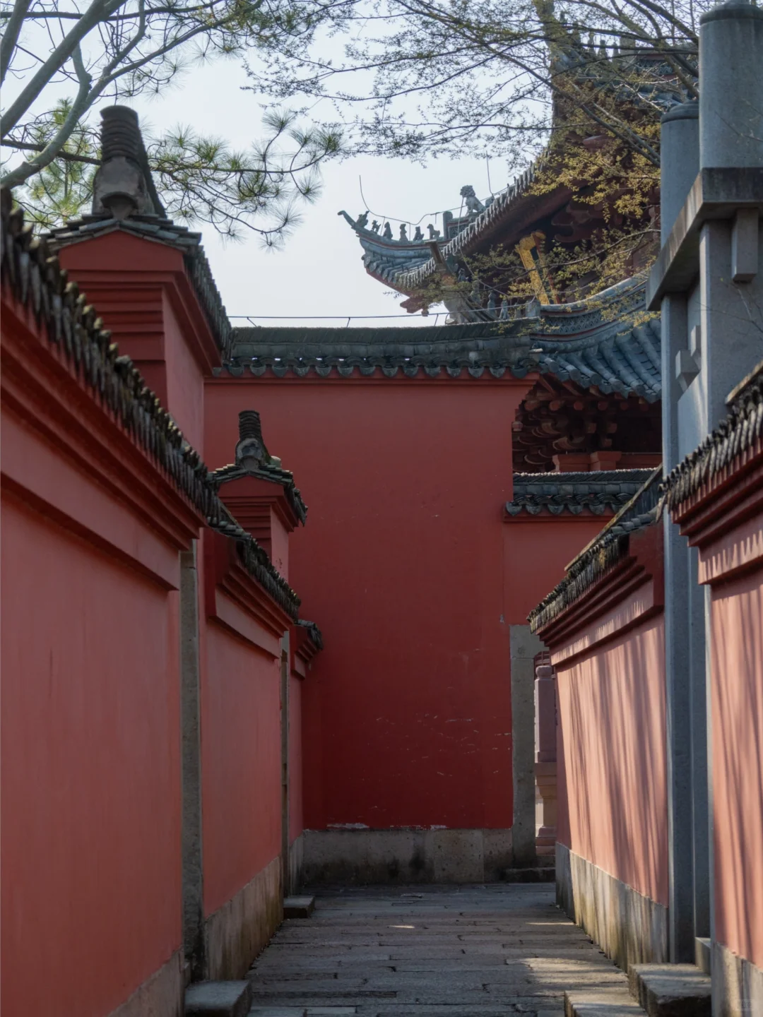 嘉兴海宁盐官旅游攻略来了⛵️走乾隆春游路线