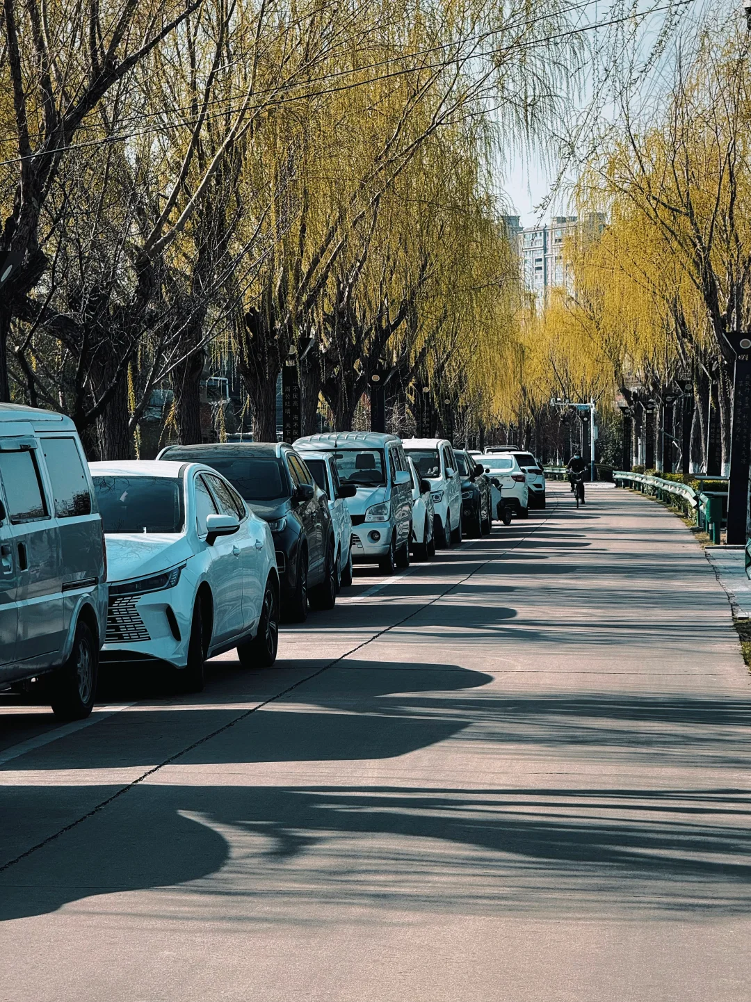 在亳州寻找历史踪影