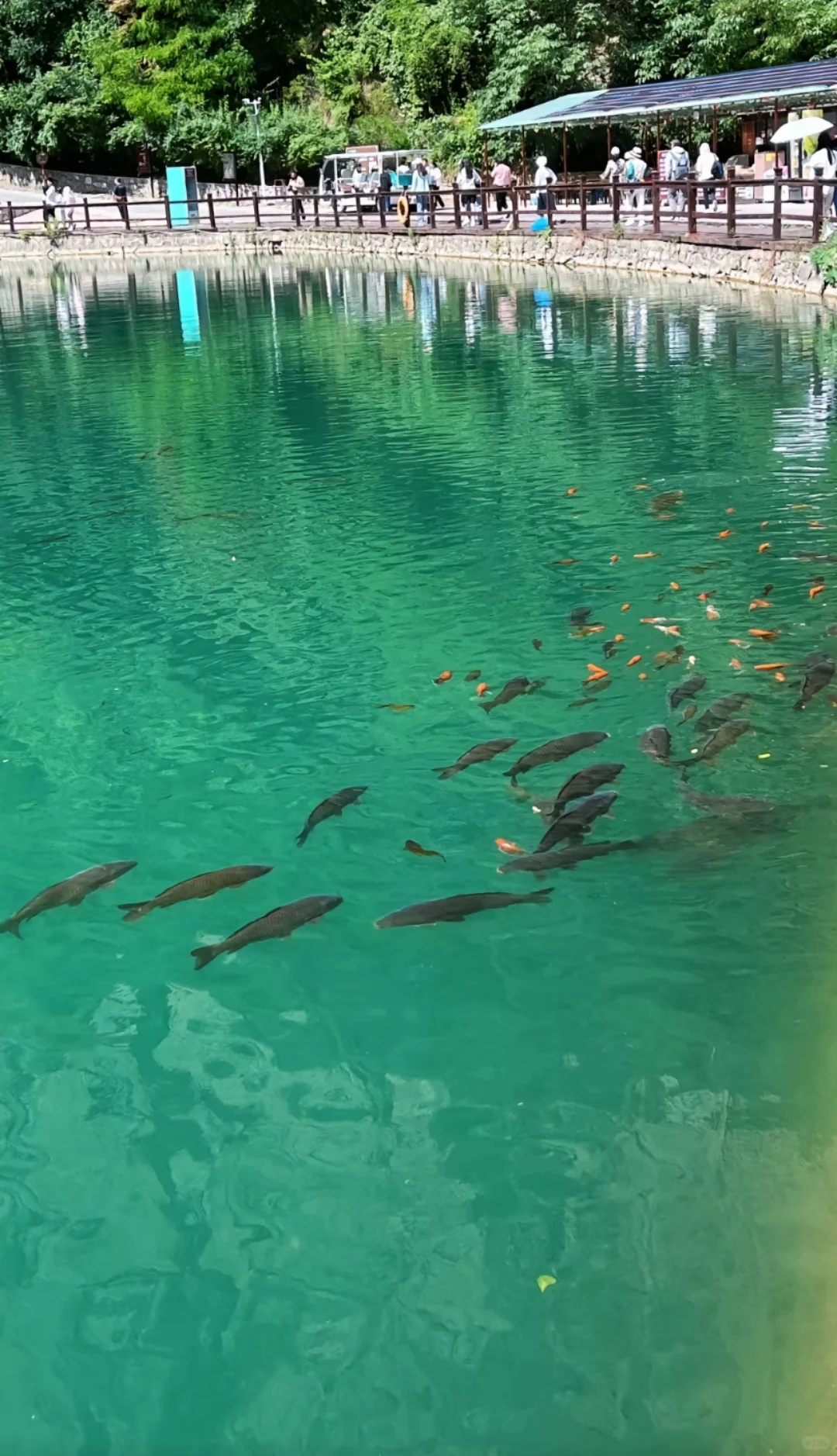 邯郸到通天峡一日游，邯郸周边一日游