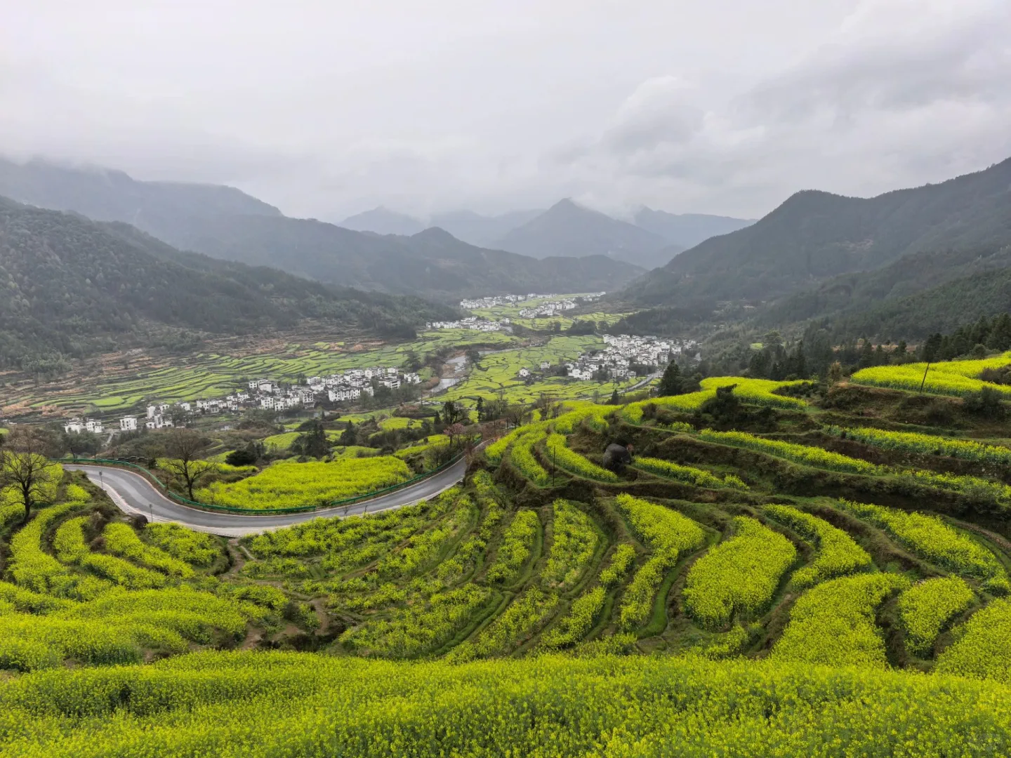 江西-上饶-婺源๑>ᴗO๑