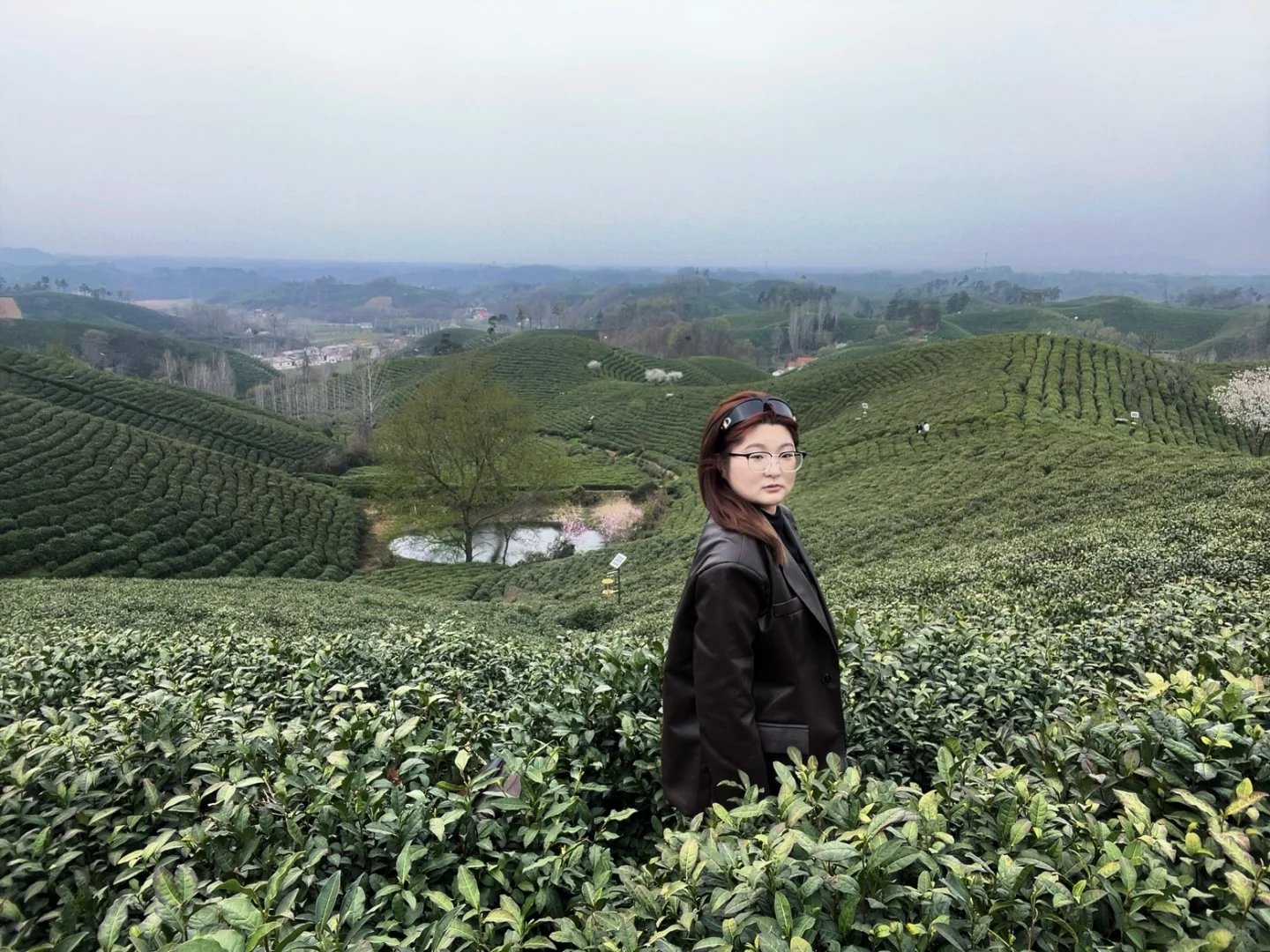 来文新茶村 看中国茶海🍃