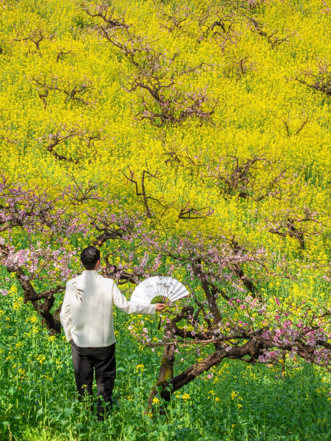 在小红书跟风最成功的一次‼️湖州小众花海