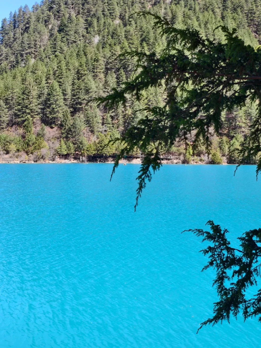 3.28📍淡季九寨沟已回，附游玩时间线