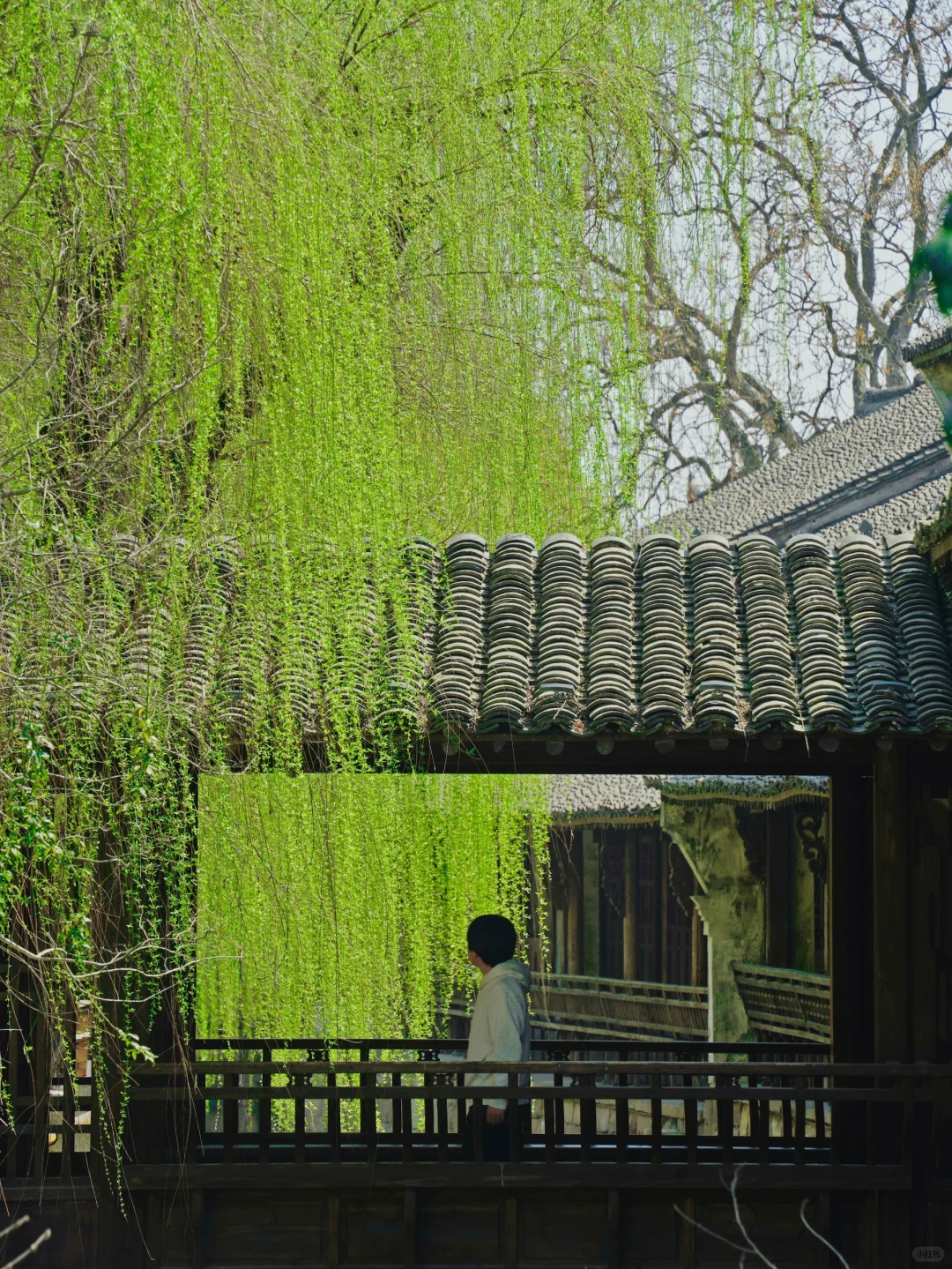 我很少用“潮”来形容一座小众古城！