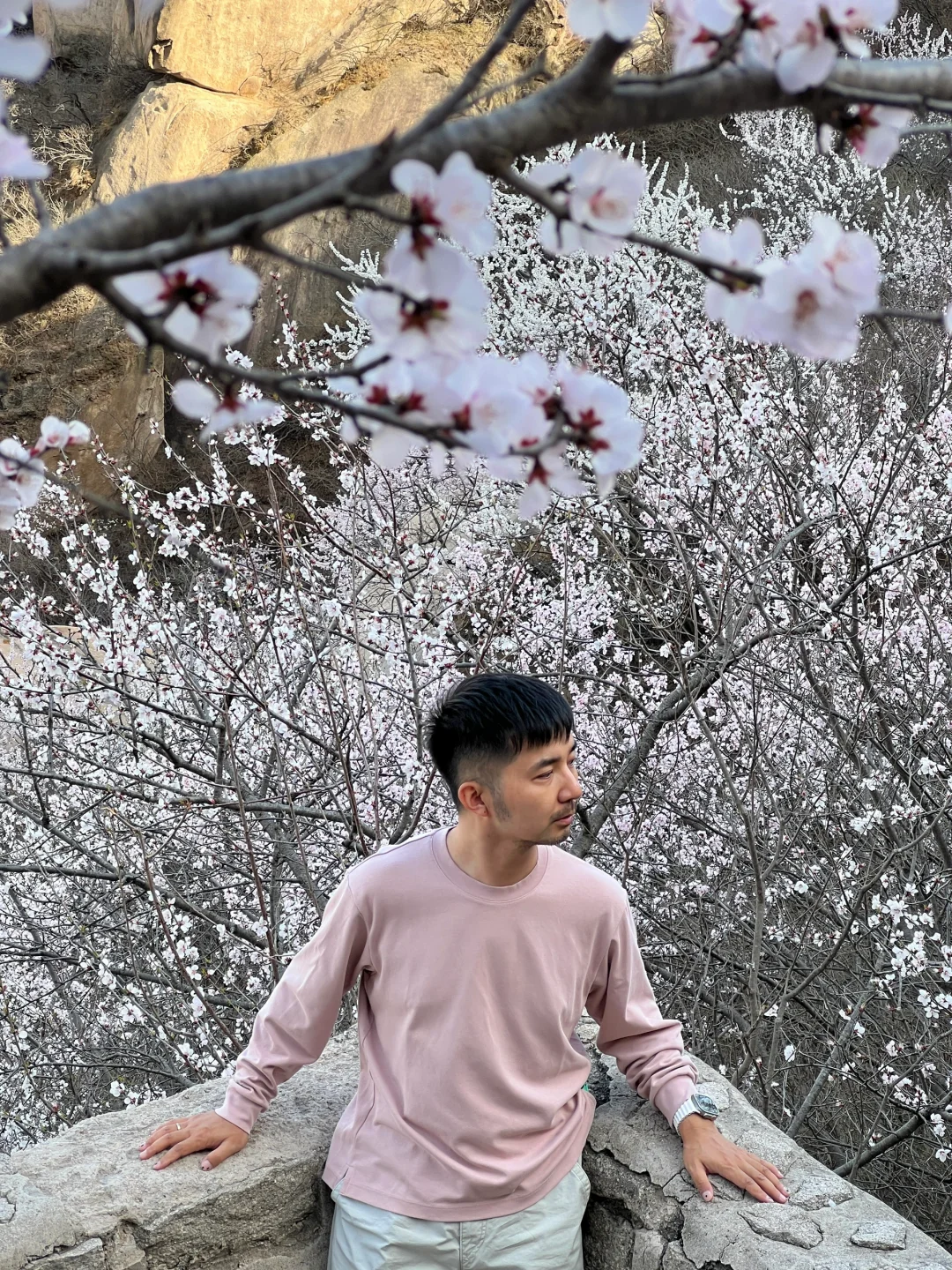 真正的春光敢于无滤镜直出live photo