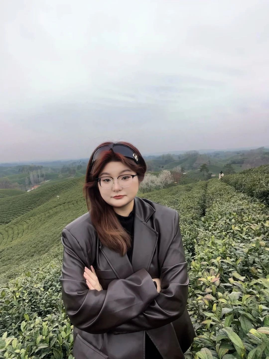 来文新茶村 看中国茶海🍃