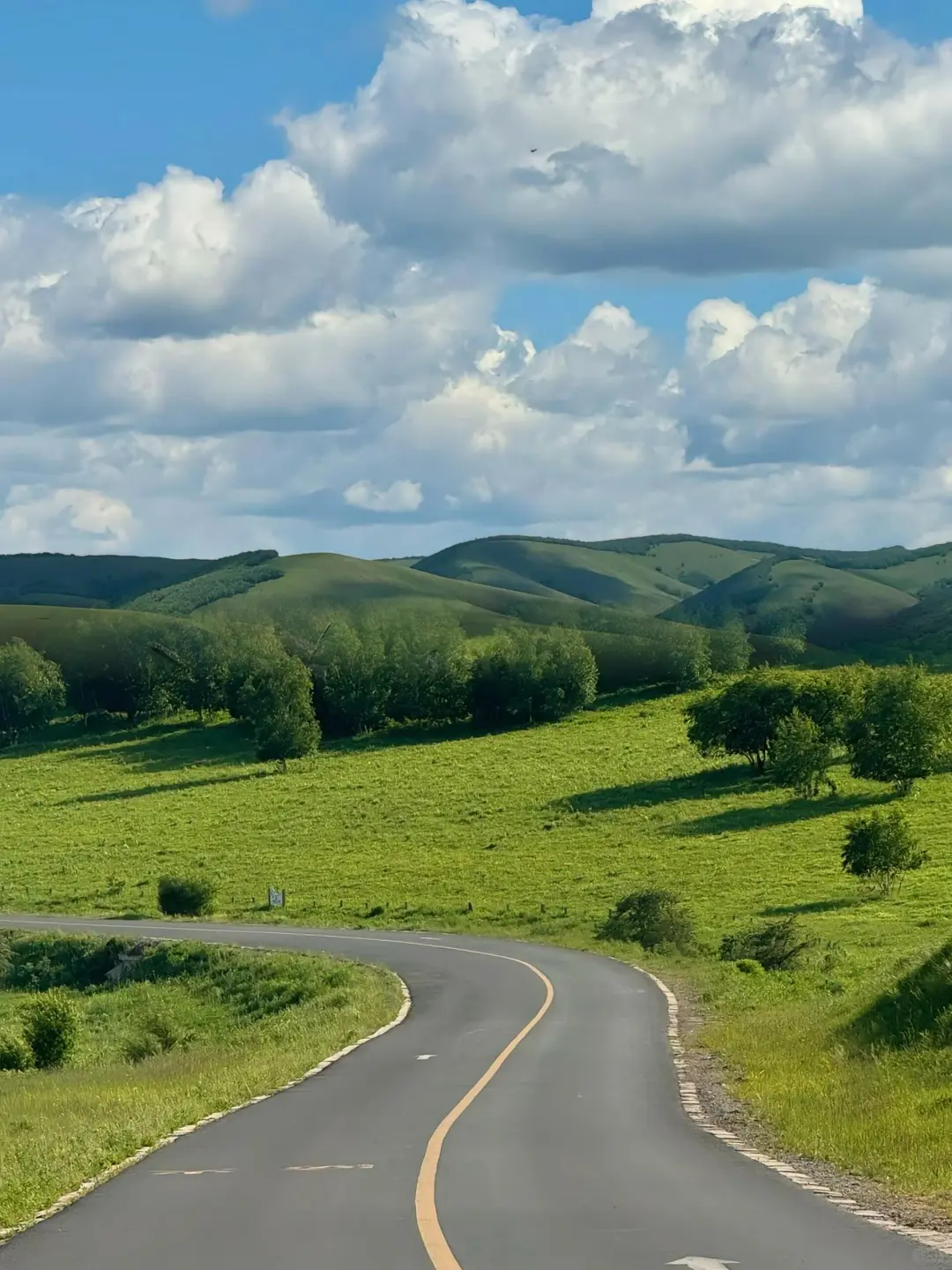 在乌兰布统的夏天，像是做了一场自由的梦～💙