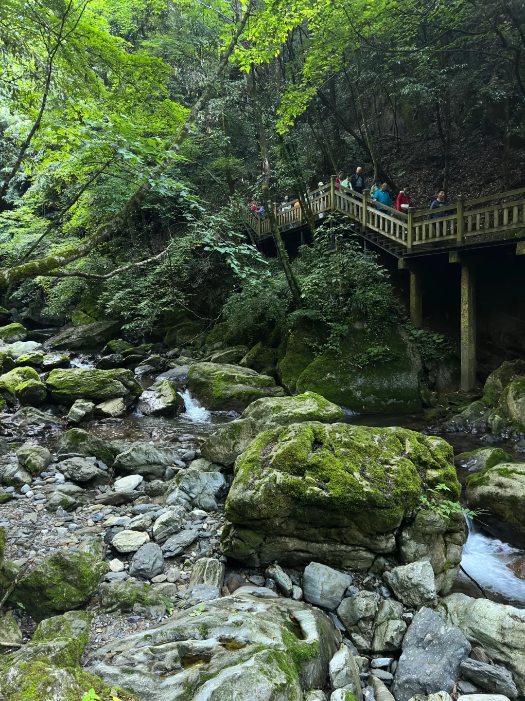 神农架｜探索野人之谜