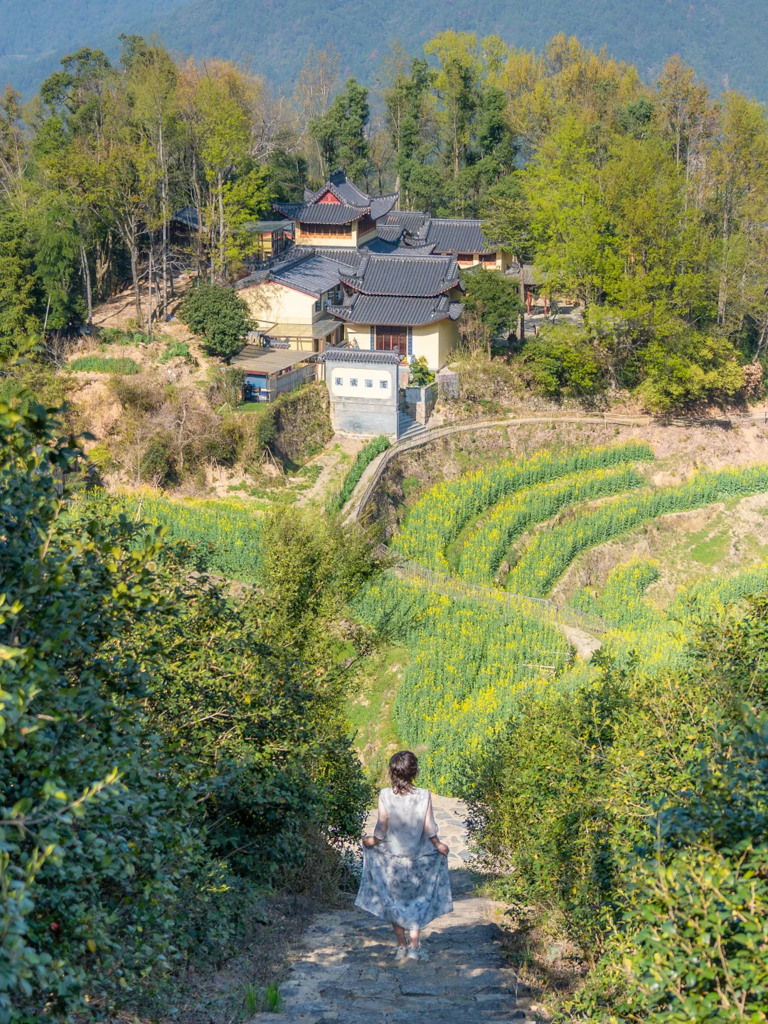 Live实况‼篁岭的春天美到封神！没有平替