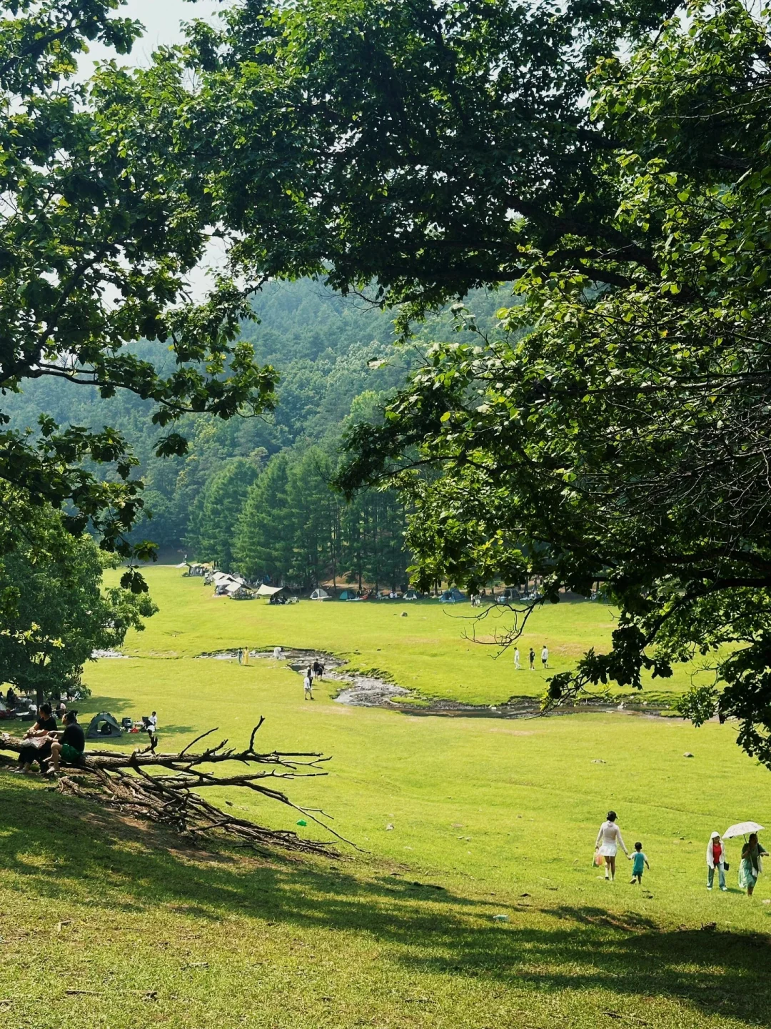 不用去新疆，北方这里也有属于新疆的阿勒泰