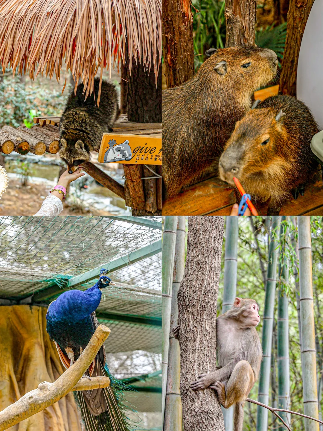 江苏，你不宣传这里，你糊涂啊！