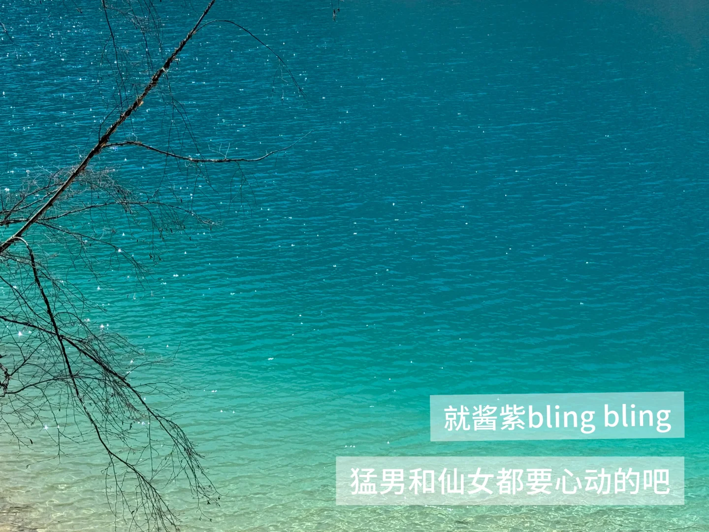 你一句青春没有售价…