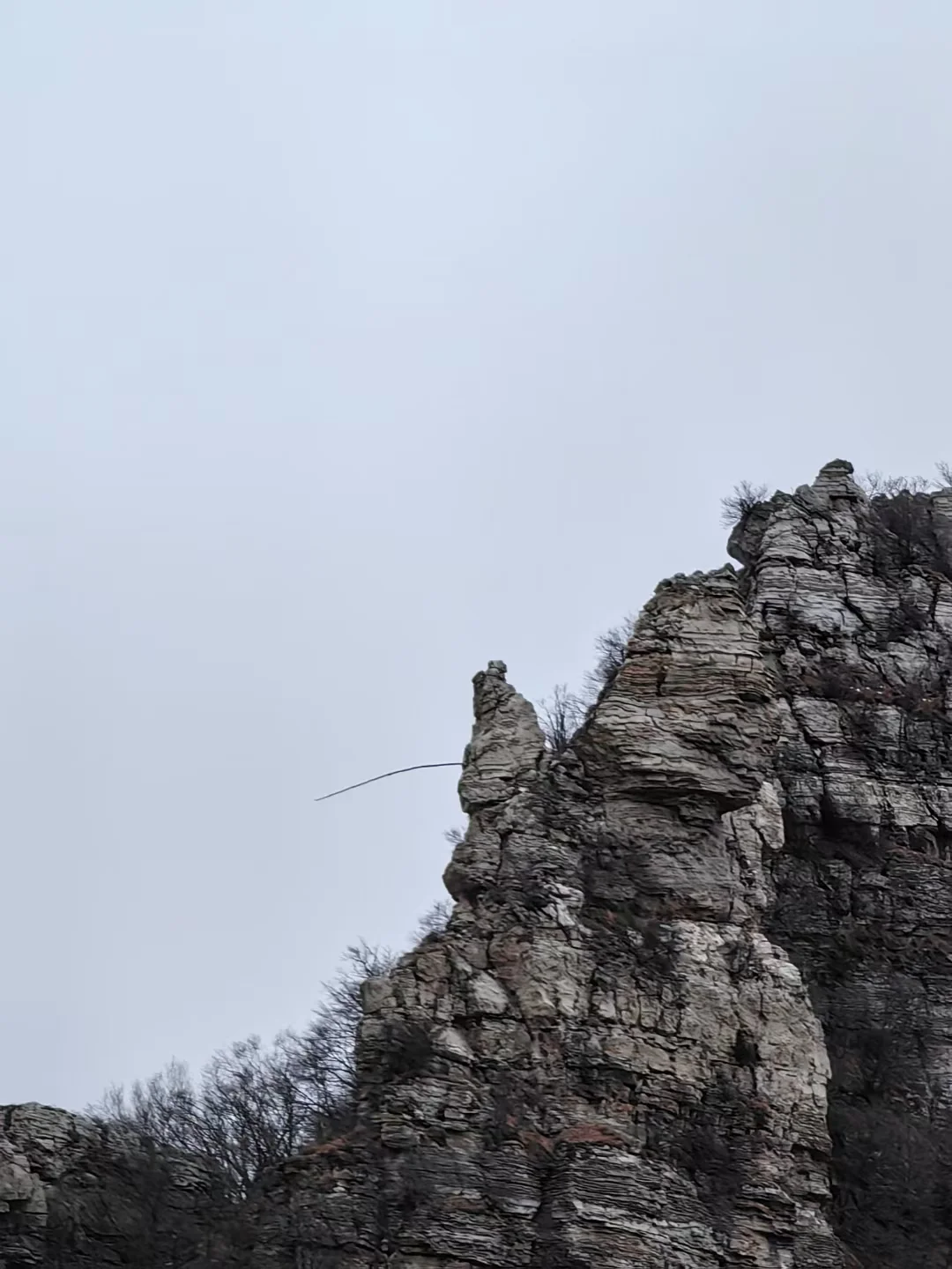 赏花、踏青、遛娃一键收藏!