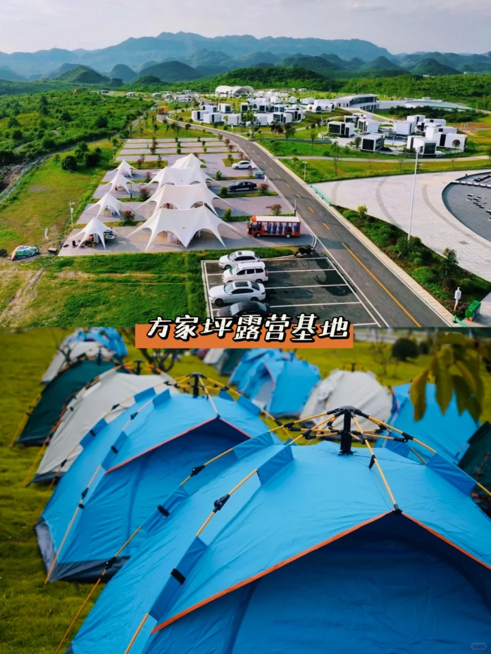 2025追花季 | 百里杜鹃最新攻略，赶快收藏