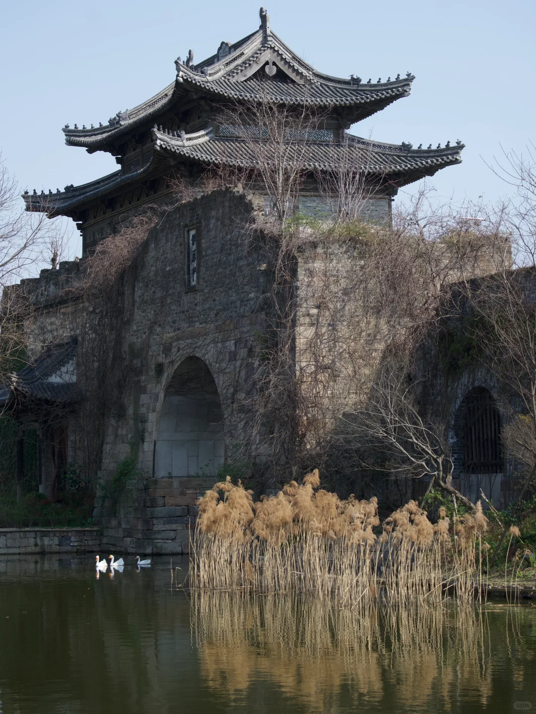 嘉兴海宁盐官旅游攻略来了⛵️走乾隆春游路线