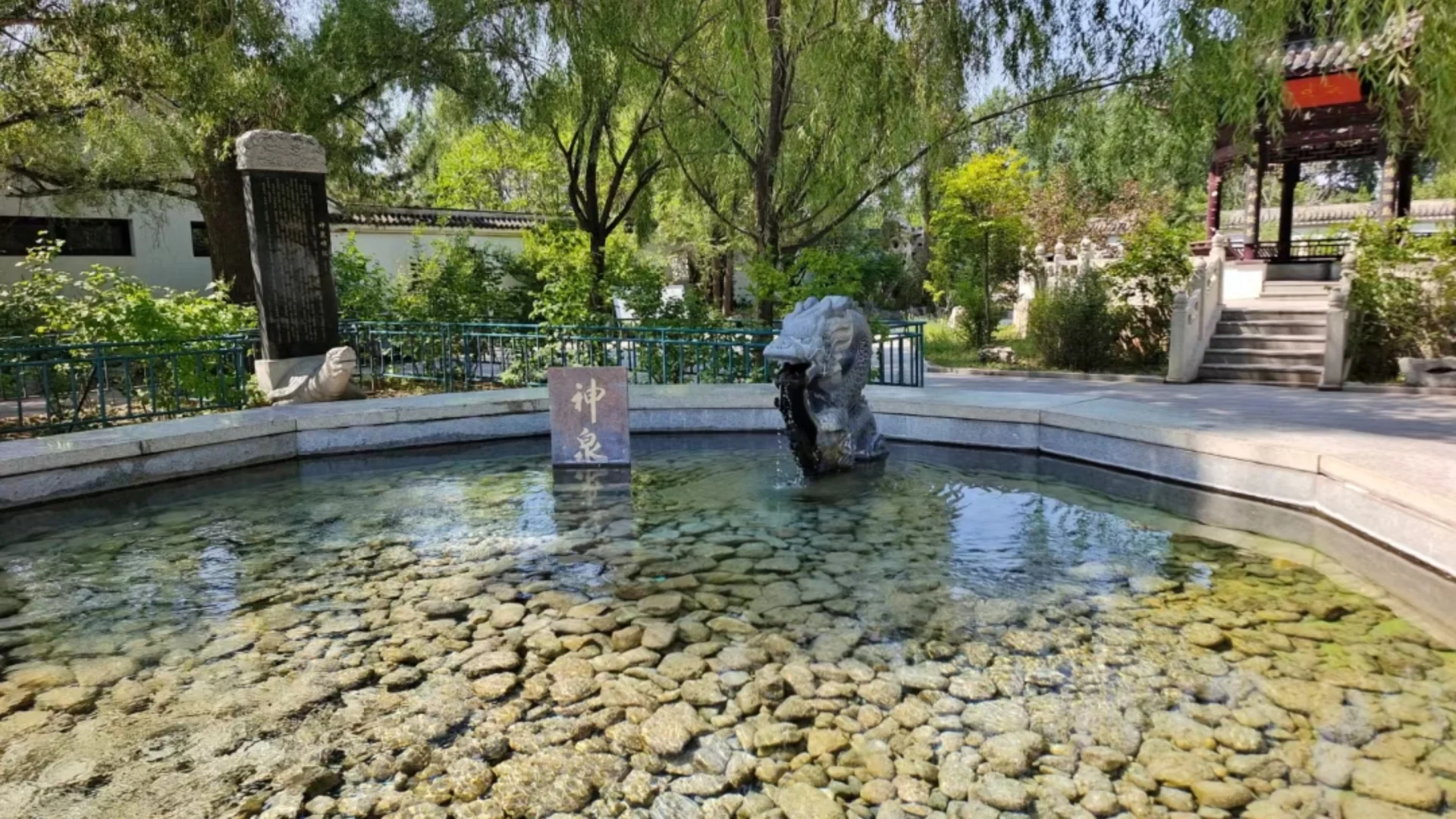 神泉——沙漠与绿洲的奇幻之旅🌵🐫