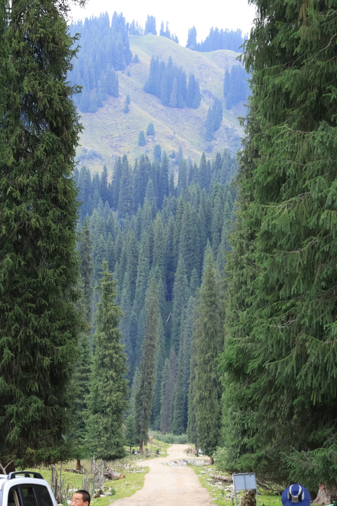 新疆包车，真诚靠谱