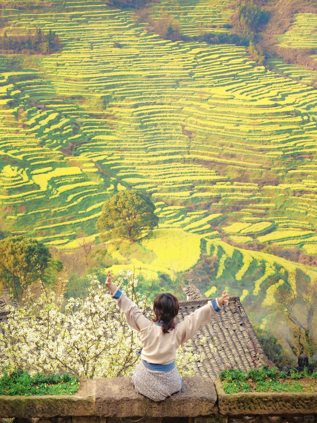 Live实况‼篁岭的春天美到封神！没有平替