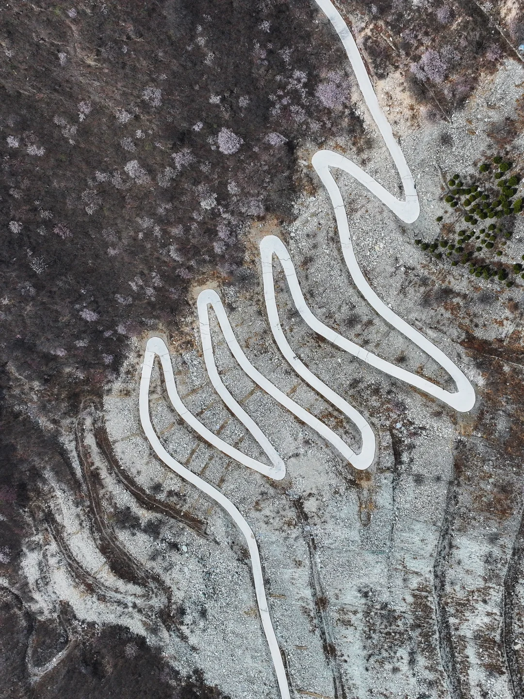 3.23实拍 | 在房山，幽岚山深处的桃花源！