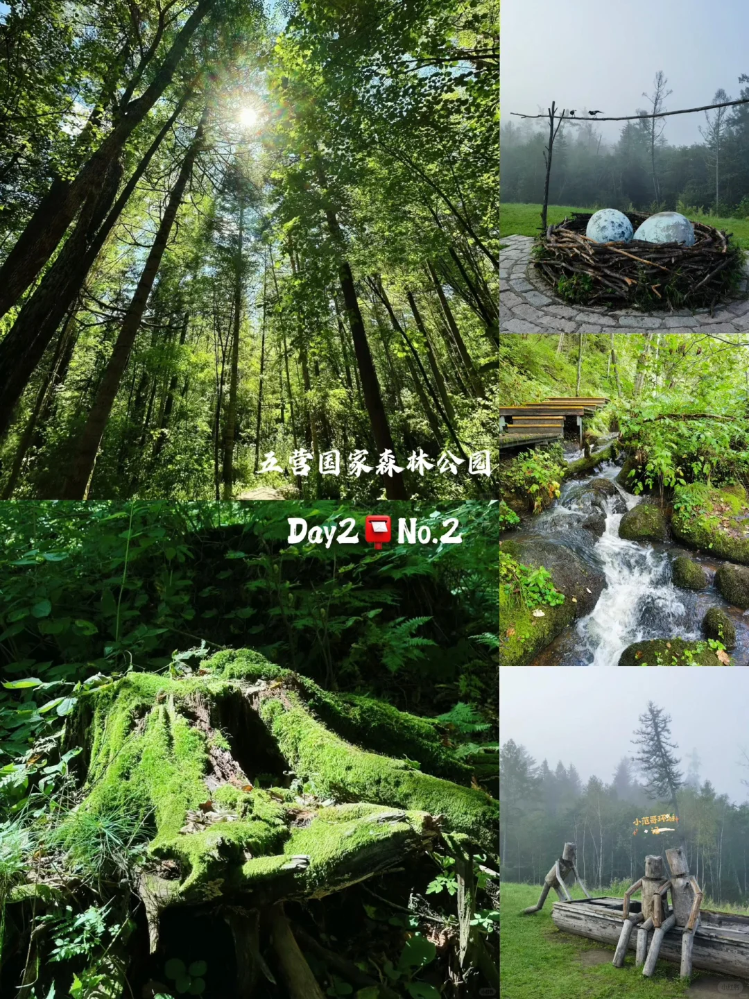 不用去新疆，北方这里也有属于新疆的阿勒泰