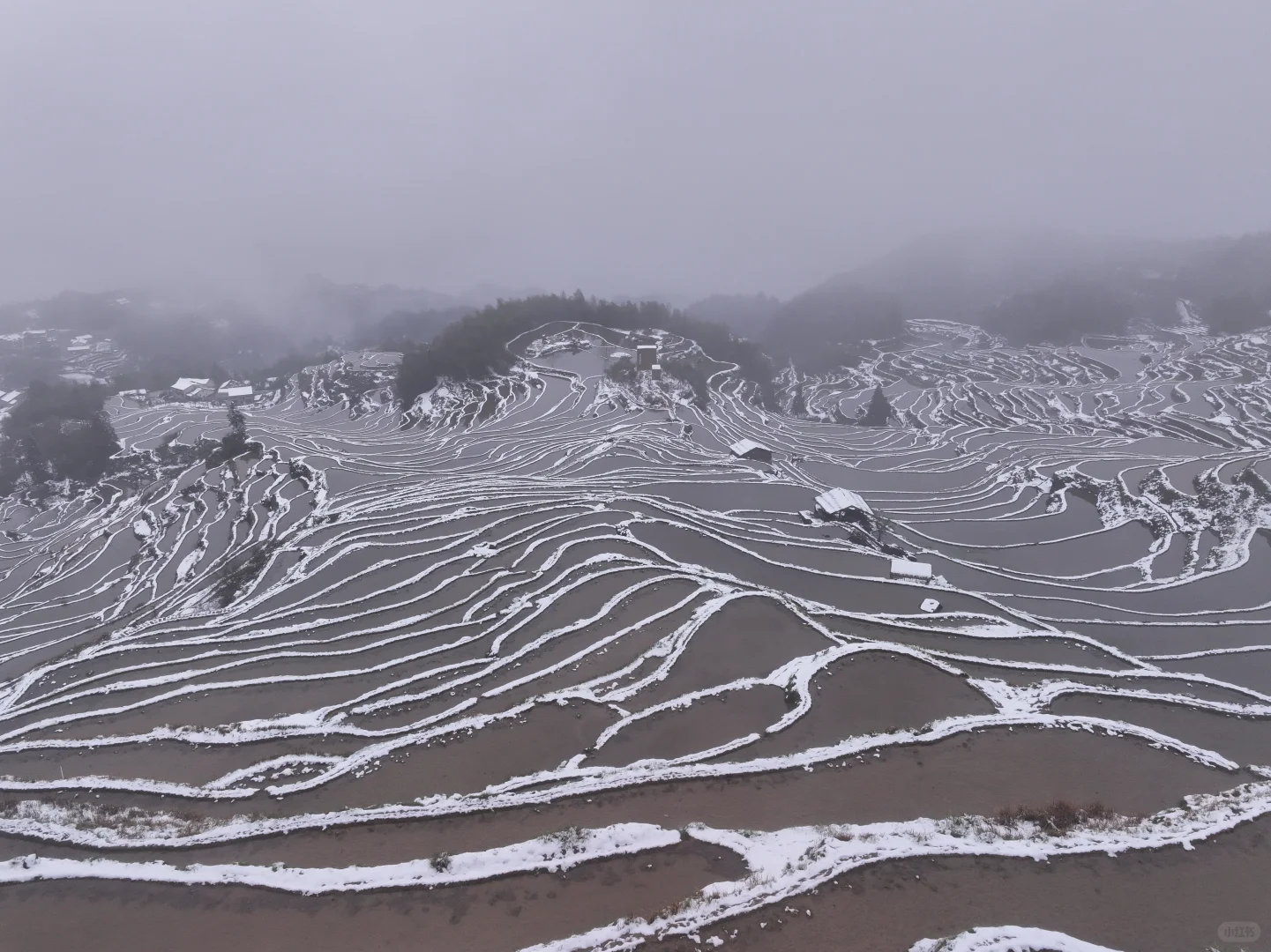 2025年春天的第一场雪❄️就在昨天！