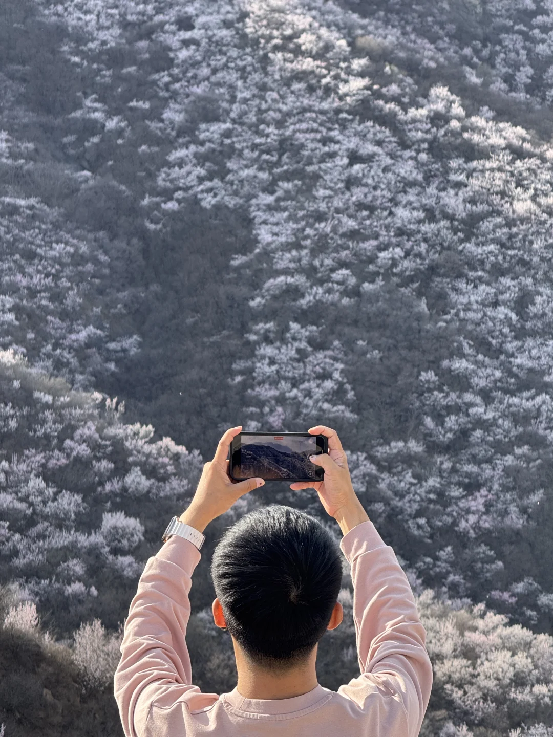 真正的春光敢于无滤镜直出live photo