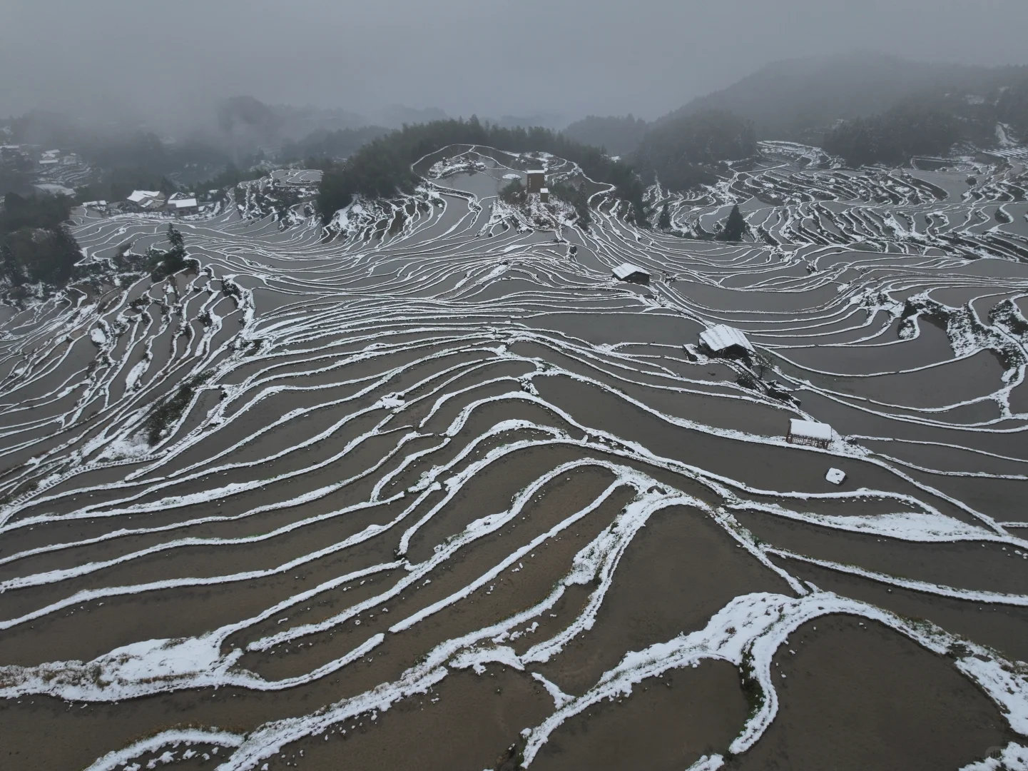 2025年春天的第一场雪❄️就在昨天！