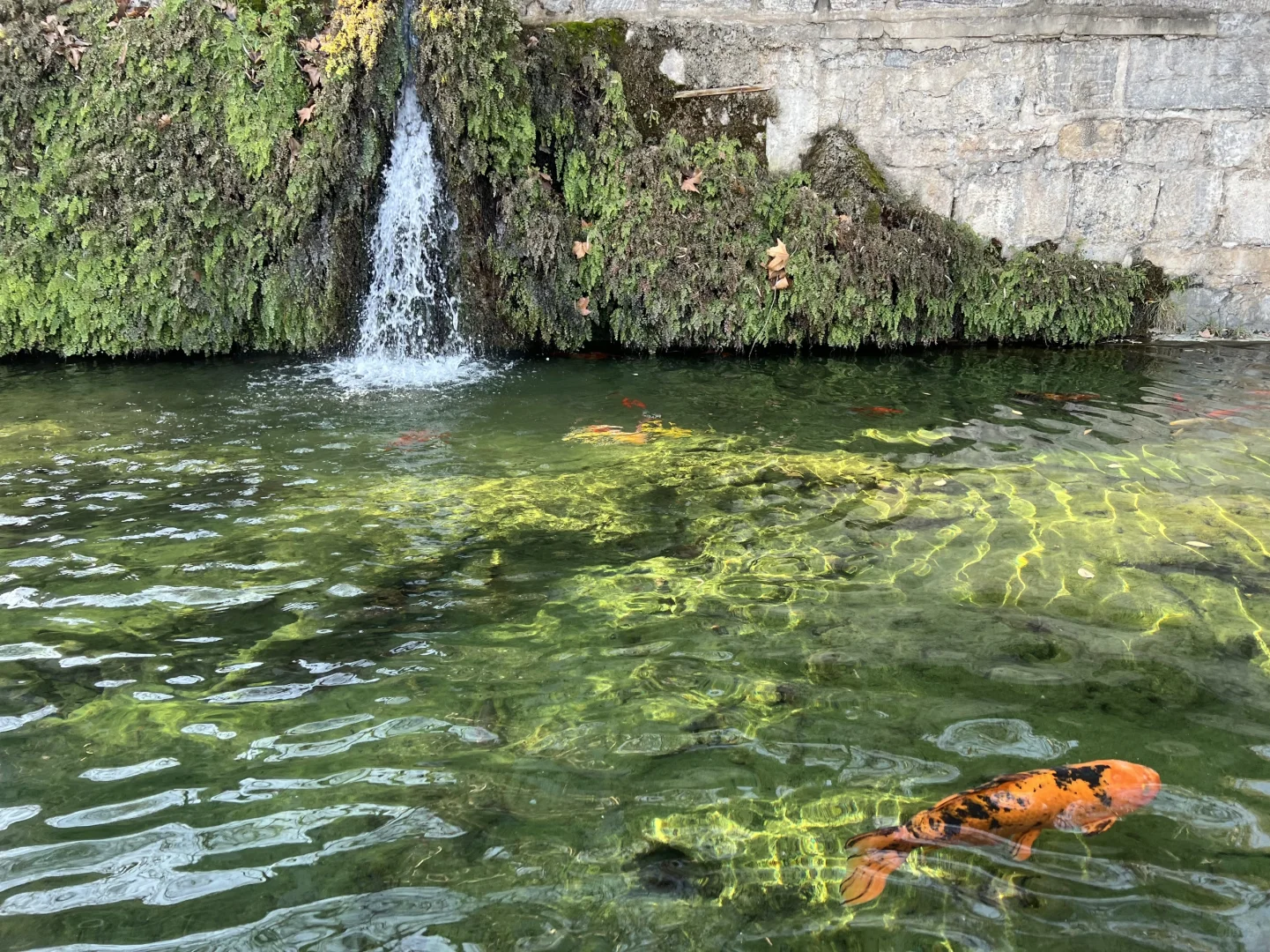 洛阳旅游小攻略