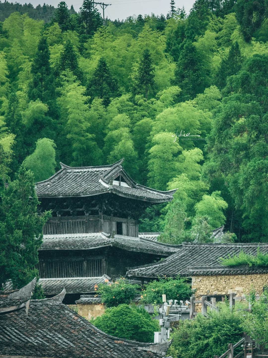 ✨ 江南古镇全攻略 | 特色古镇+避坑指南！ ✨