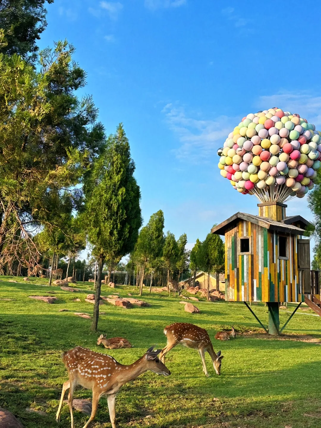 伏羲山一日游避坑指南✨