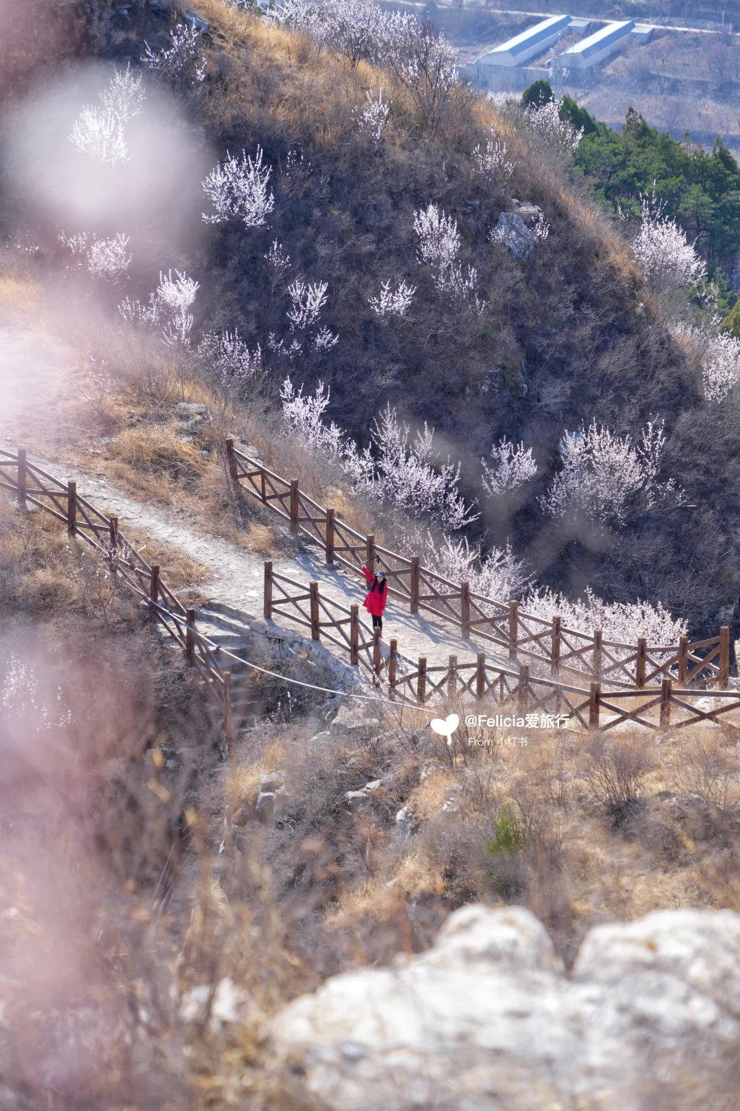 北京中山寺 | 山寺桃花始盛开🌸徒步赏花💯