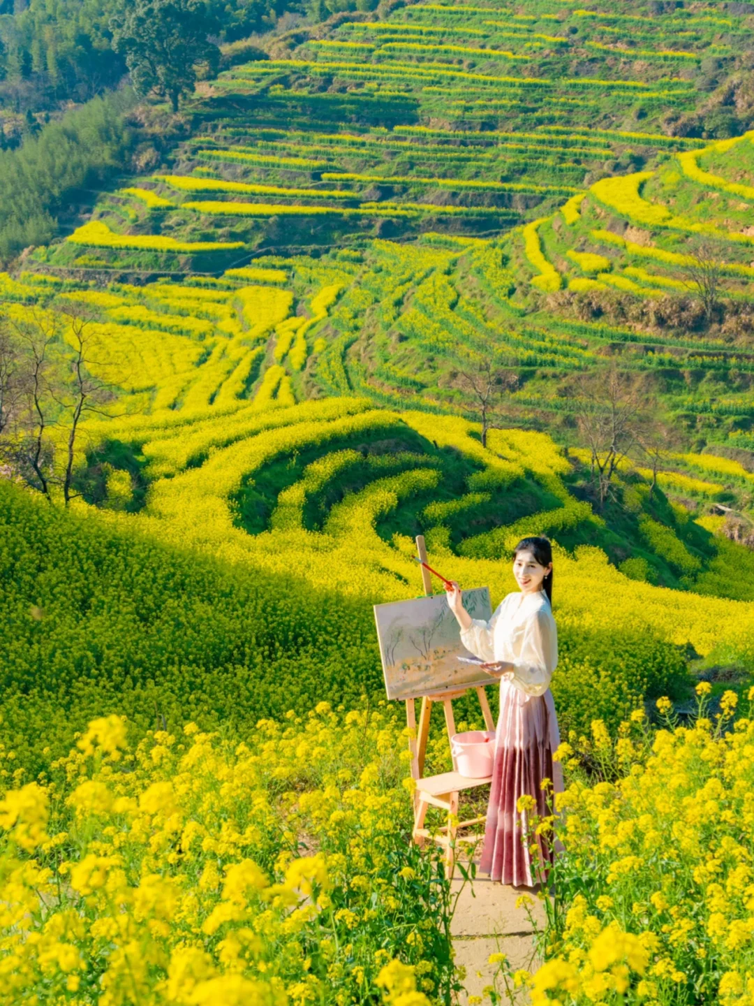 接下来的婺源篁岭🌼是漫山遍野的油菜花海‼️
