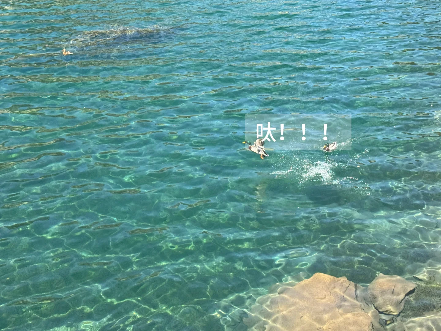 你一句青春没有售价…