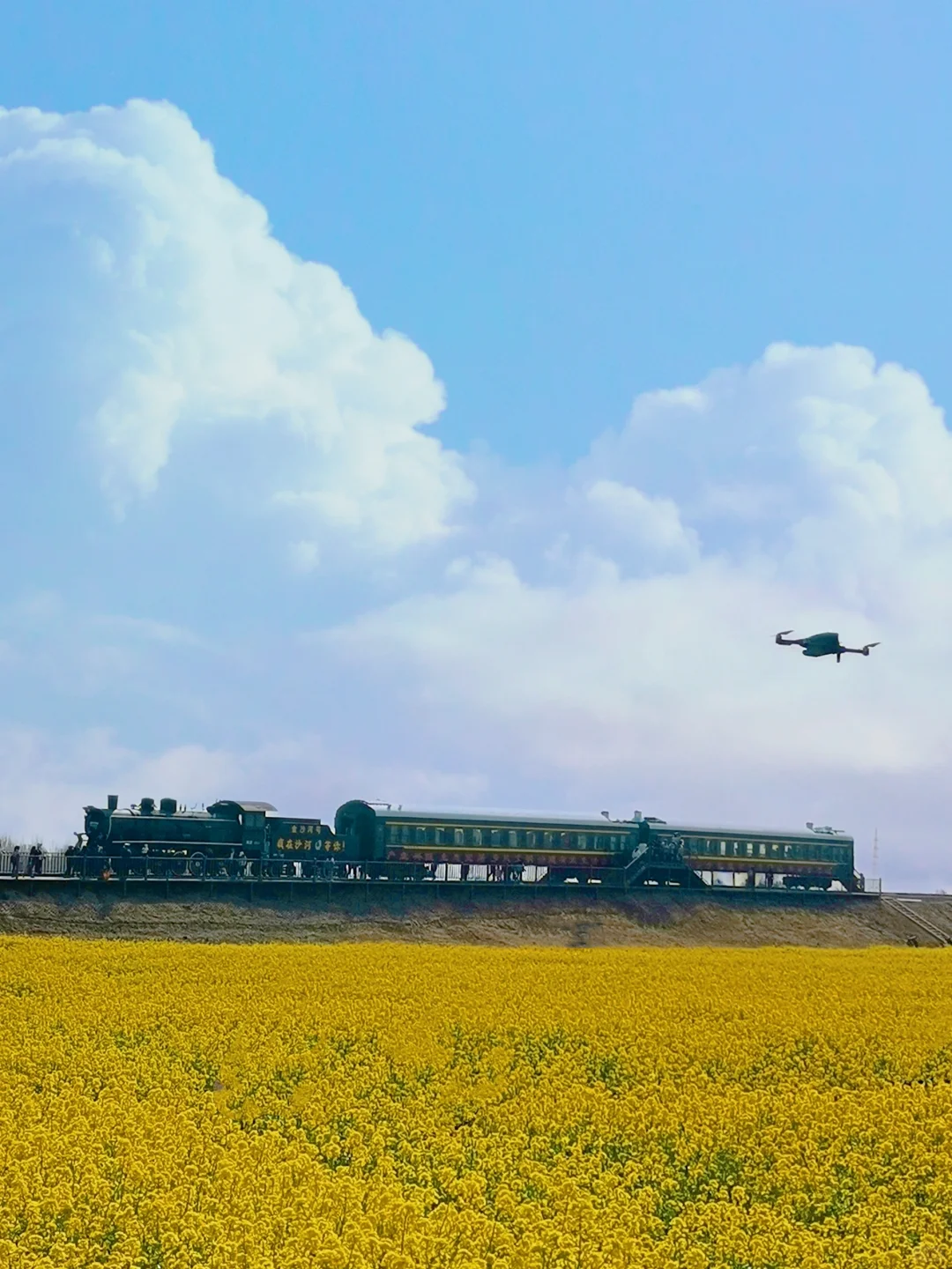邯郸周边游：金沙河红薯岭万亩油菜花