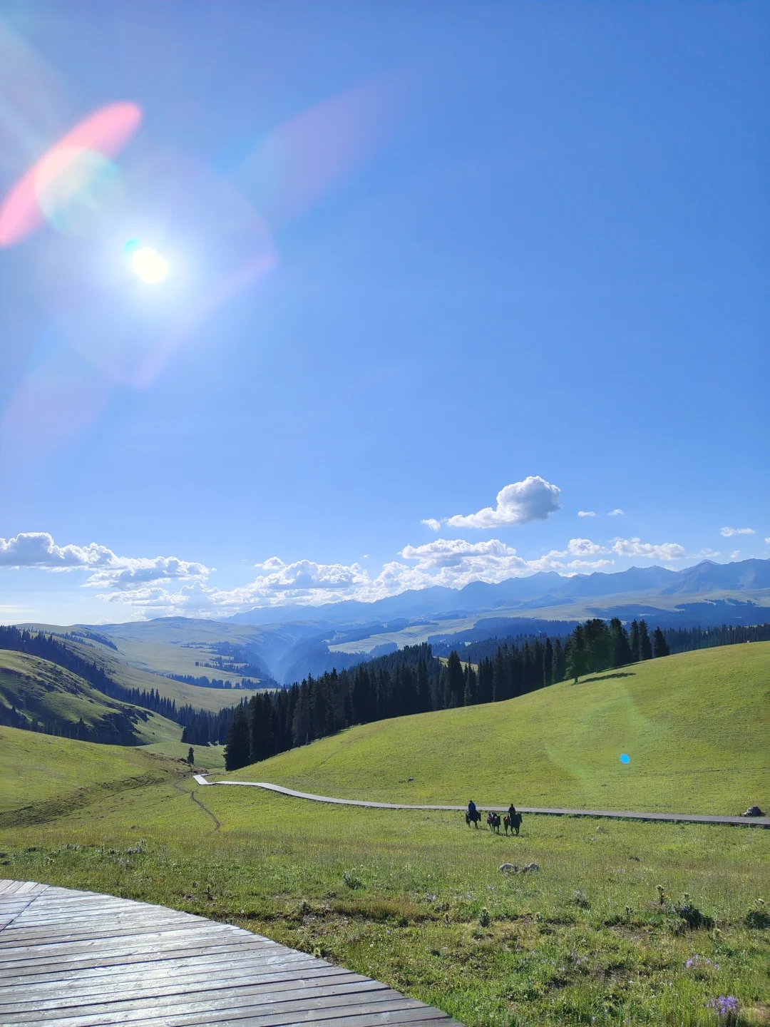 新疆包车，真诚靠谱