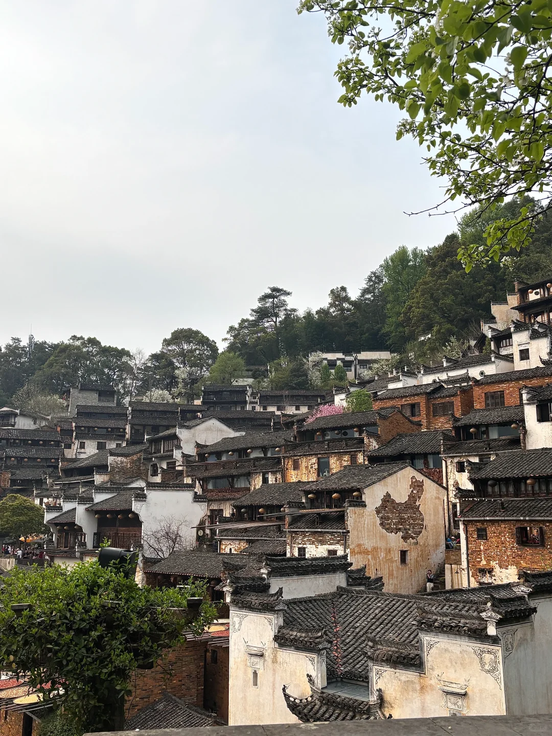 📍婺源·篁岭🌼晒个春🌿🍃