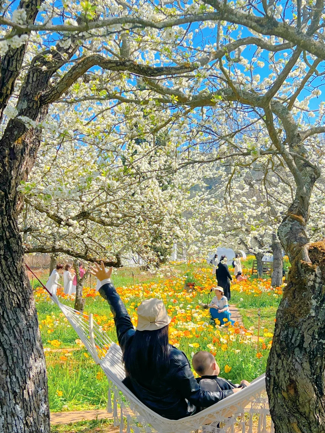 昆明蕞伟大的春日限定！！！震撼全国🥹🥹…