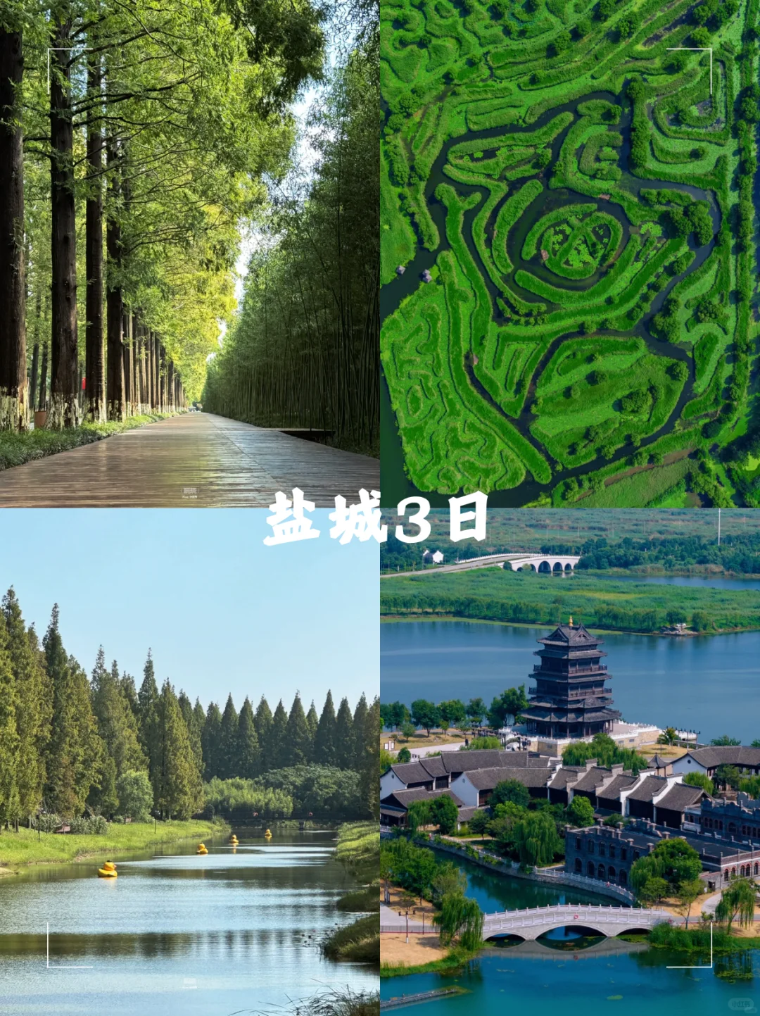 选择困难症犯了。。。清明去哪玩啊