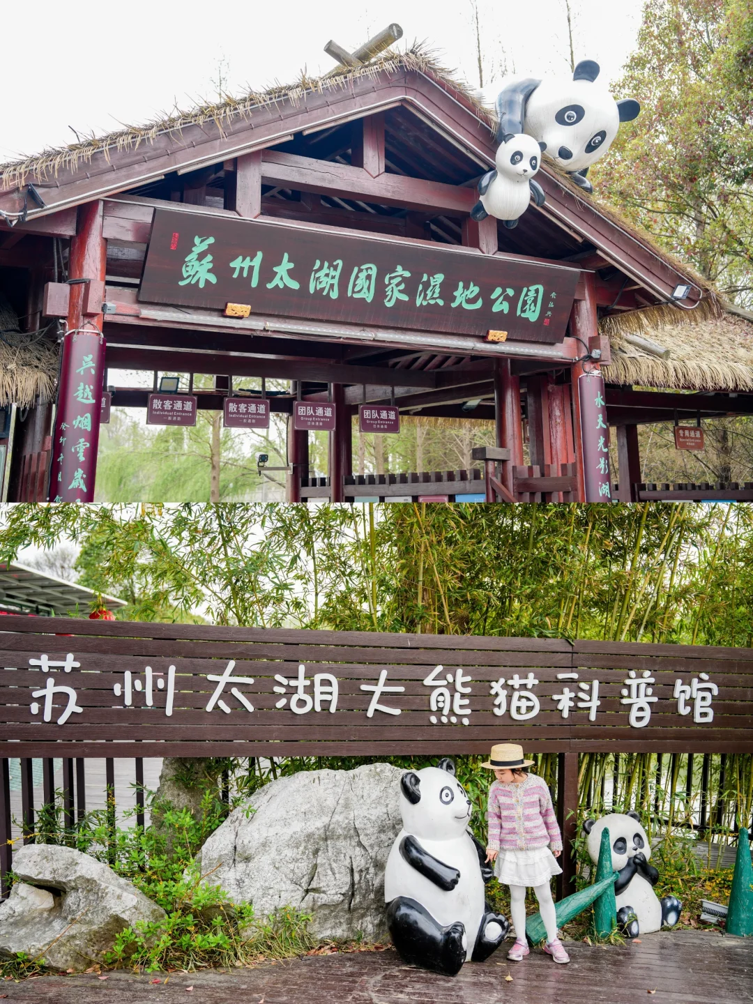 苏州亲子游🌸太湖春季徒步赏花2天行程