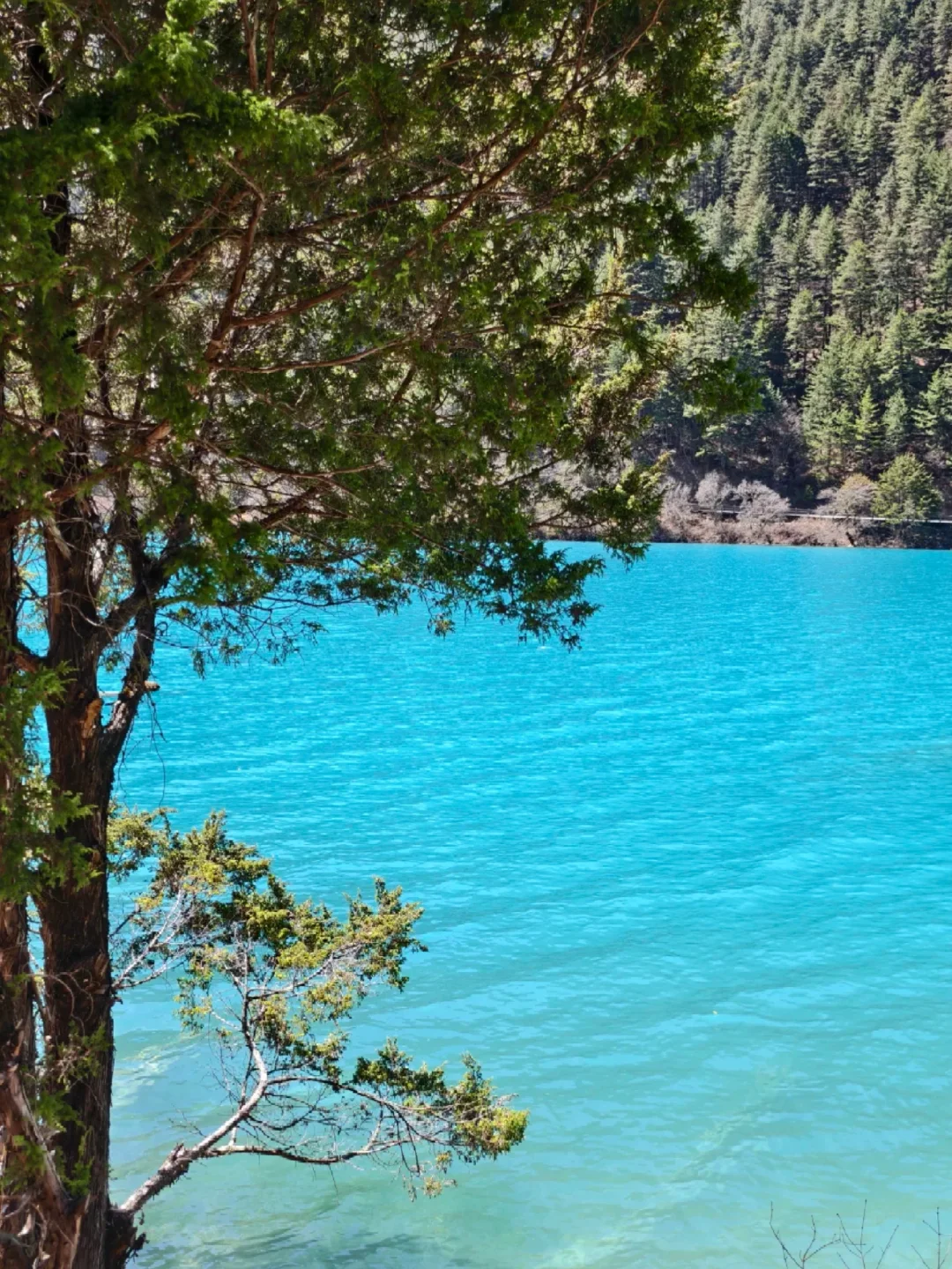 3.28📍淡季九寨沟已回，附游玩时间线