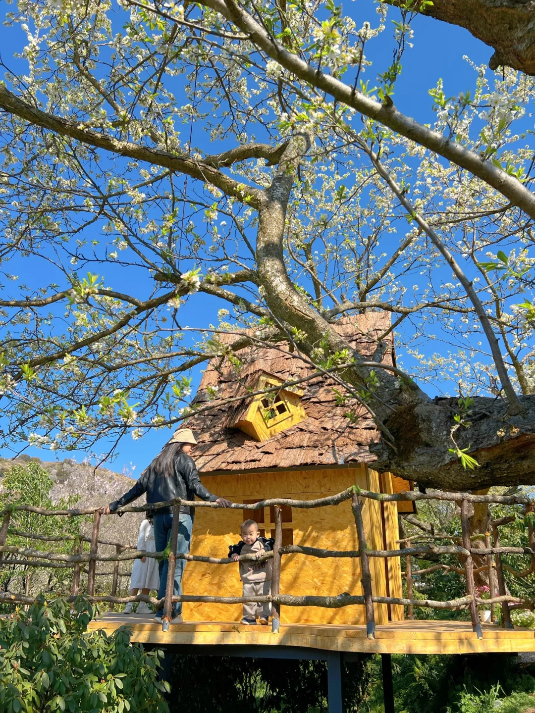 昆明蕞伟大的春日限定！！！震撼全国🥹🥹…