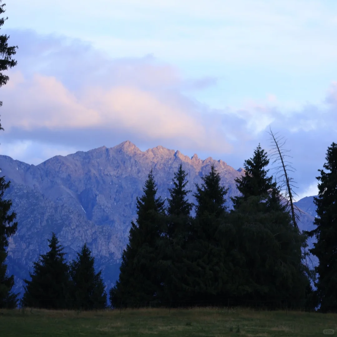 新疆包车，真诚靠谱