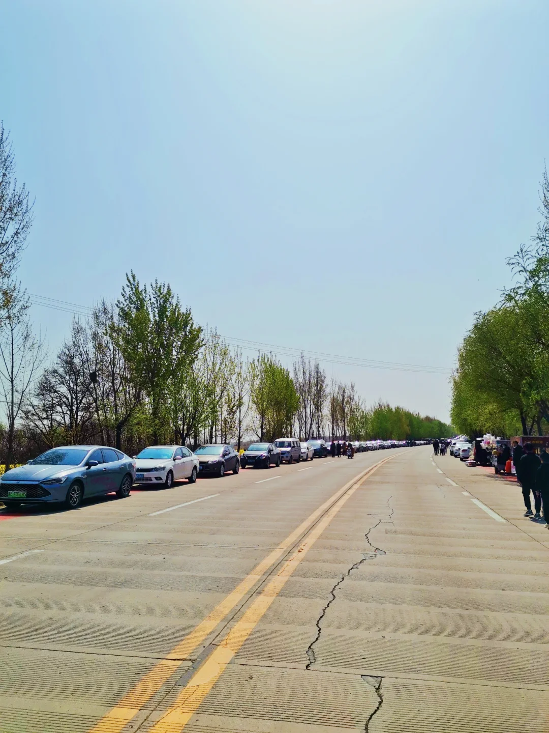 邯郸周边游：金沙河红薯岭万亩油菜花