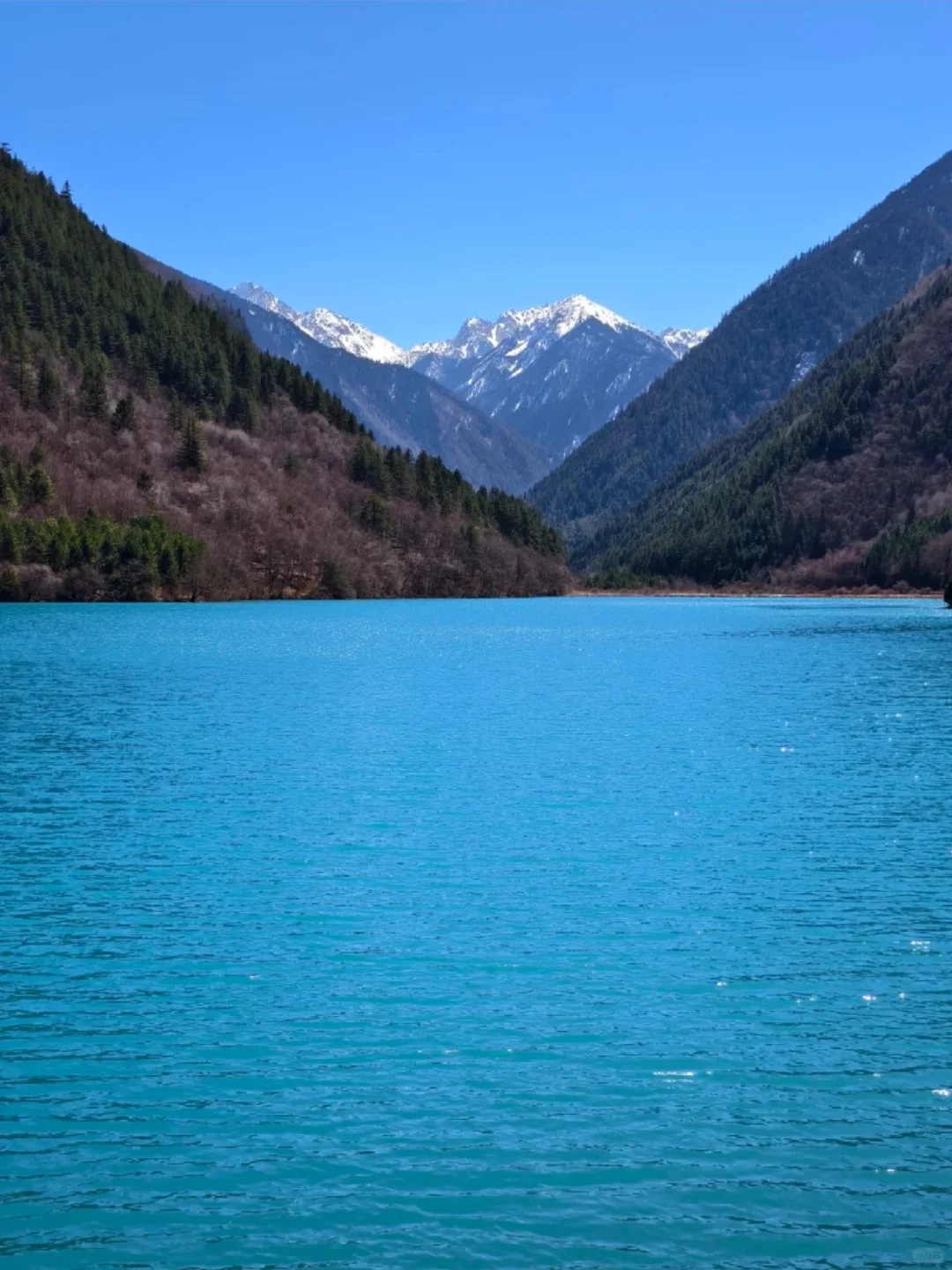 3.28📍淡季九寨沟已回，附游玩时间线