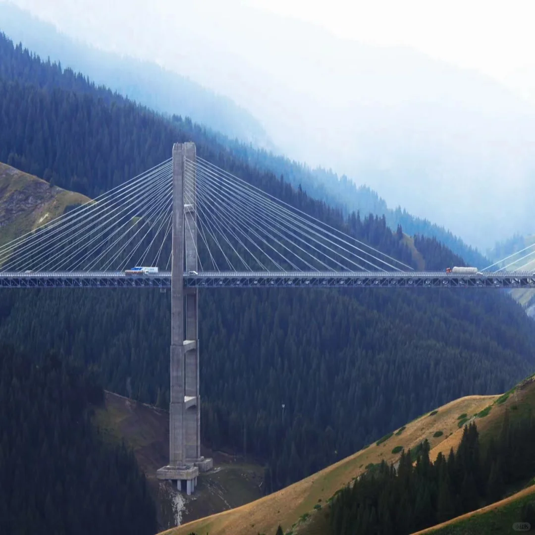 新疆包车，真诚靠谱